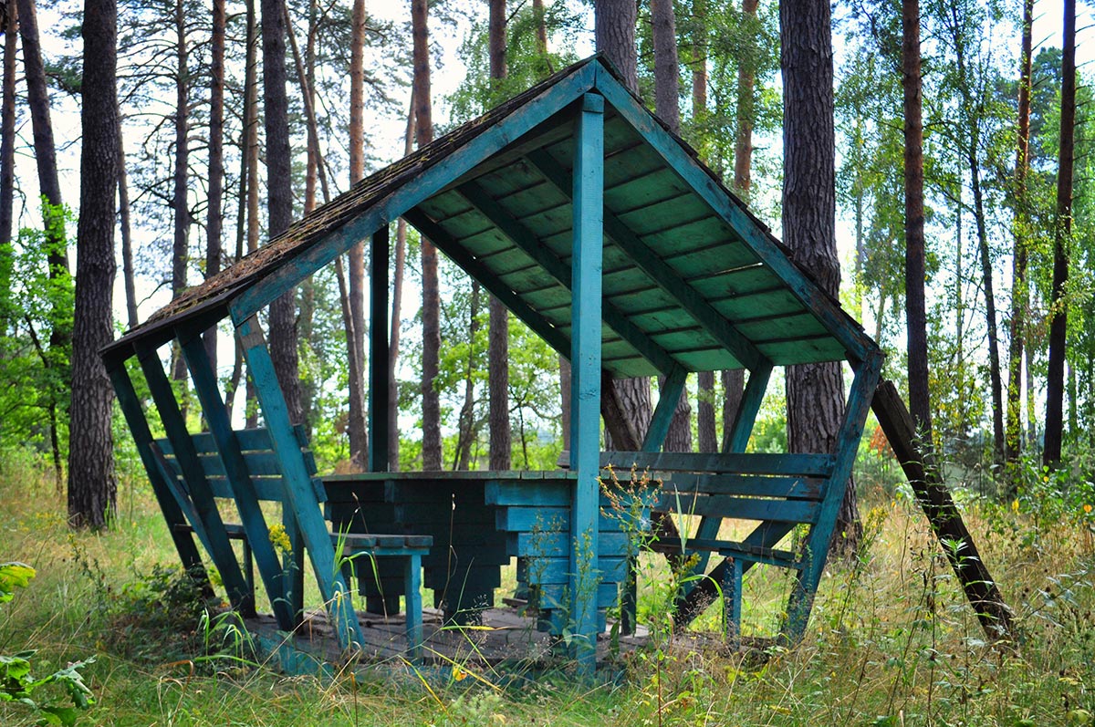 Фото Витязь 9