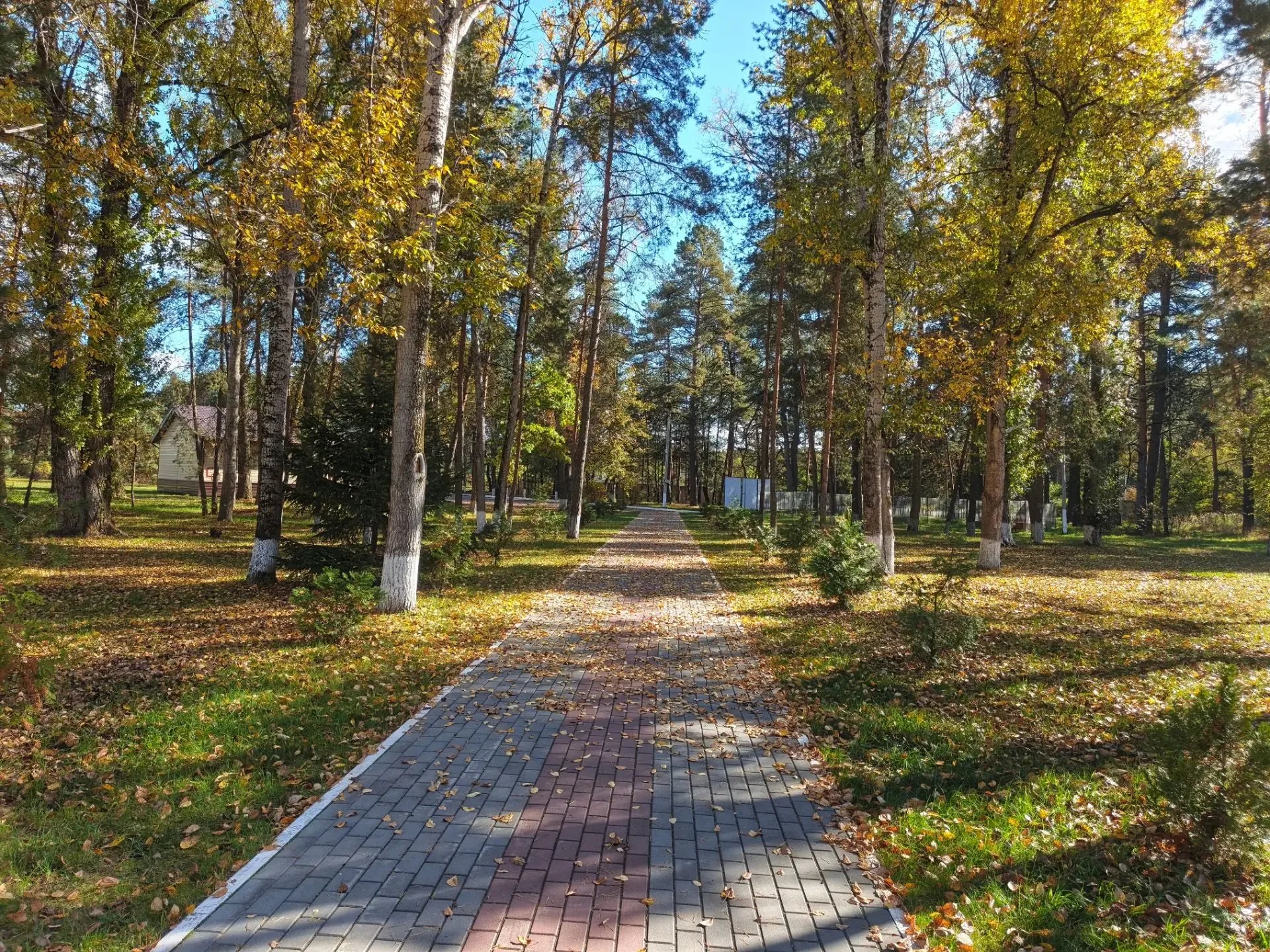 Живописные аллеи.